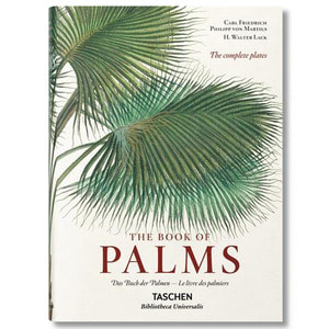 MARTIUS. THE BOOK OF PALMS